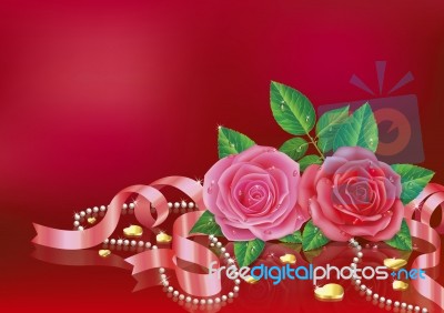Beautiful Pink Roses With Ribbon Stock Image