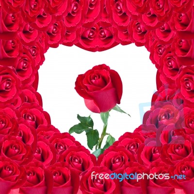 Beautiful Red Rose In Heart Of Red Rose Useful For Some Valentin… Stock Photo
