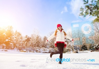 Beautiful Young Woman In The Winter Stock Photo