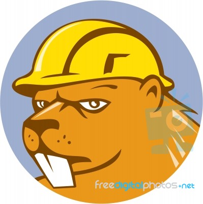 Beaver Construction Worker Circle Cartoon Stock Image
