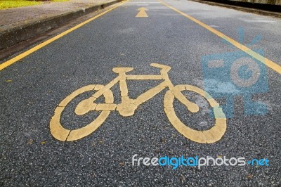 Bicycle Lane Stock Photo