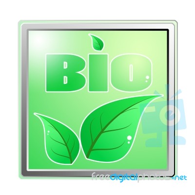 Bio Leaves Stock Image