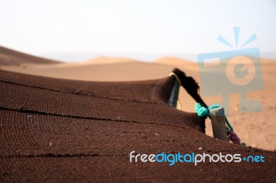 Bivouac Stock Photo Bivouac Stock Photo