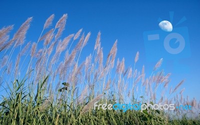 Blue Sky Stock Photo