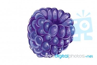 Blueberry Fresh Illustration Stock Image