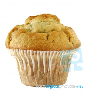 Blueberry Muffin Stock Photo