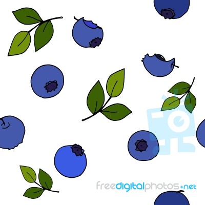 Blueberry Seamless Pattern By Hand Drawing On White Backgrounds Stock Image