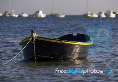 Boat  Stock Photo