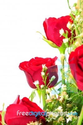 Bouquet Of Red Roses Stock Photo