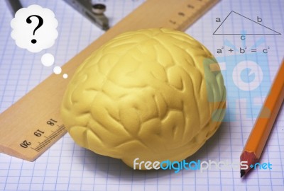 Brain Studies Stock Photo