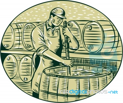 Brewer Brewing Beer Etching Stock Image