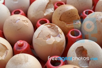 Broken Egg Background Stock Photo