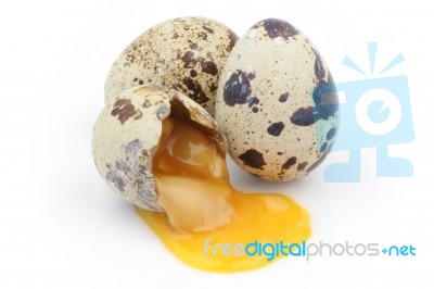 Broken Quail Egg Stock Photo