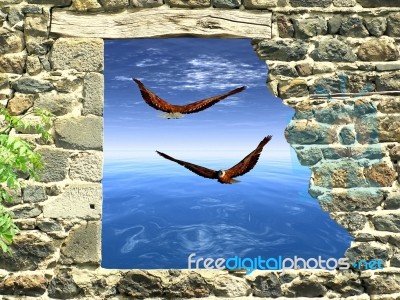 Broken Wall With Flying Eagle Stock Image