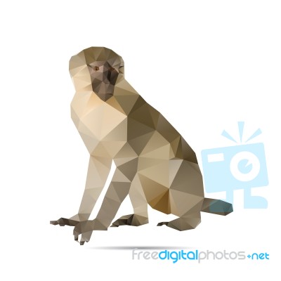 Brown Monkey Stock Image