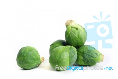 Brussels Sprout Stock Photo