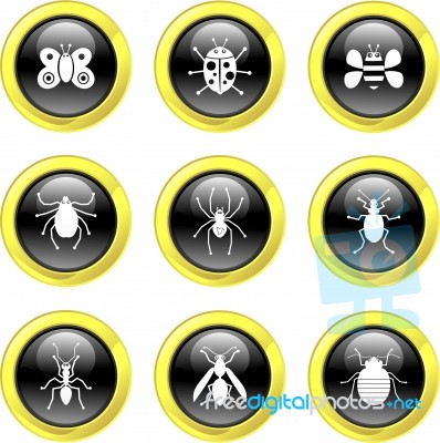 Bug Icon Set Stock Image