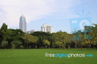 Building Country Located Skyline Of Public Park Stock Photo