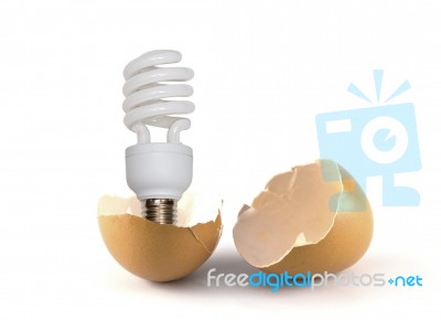 Bulb On Broken Egg Stock Photo