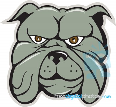 Bulldog Head Isolated Cartoon Stock Image