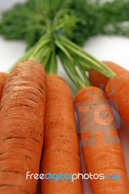 Bunch Of Carrots Stock Photo