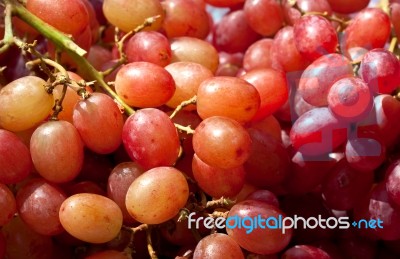 Bunch Of Grape Stock Photo
