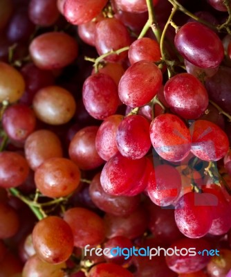 Bunch Of Grape Stock Photo