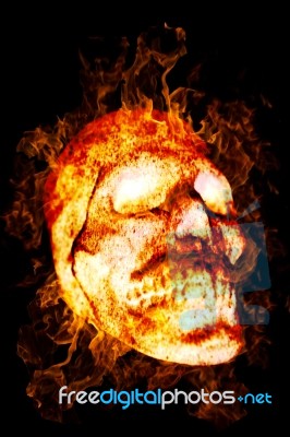 Burning Skull Stock Image