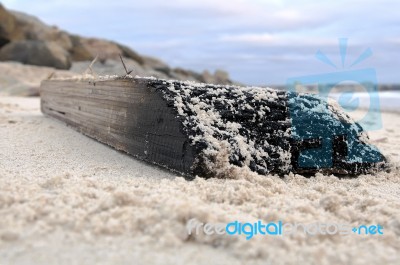 Burnt Driftwood Stock Photo