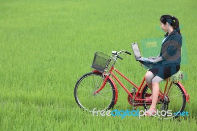 Business Girl In Paddy Field Stock Photo