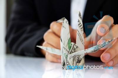 Business Man Hand Holding Origami Paper Cranes Stock Photo