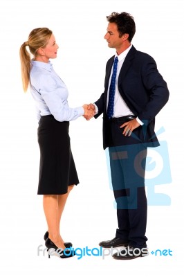 Business Person Shaking Hands Stock Photo