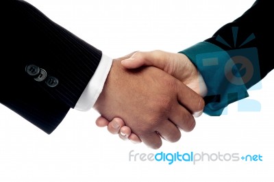Businessmen Shaking Hands, Closeup Shot Stock Photo