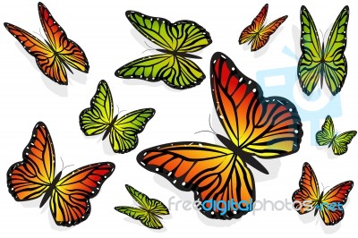 Butterflies Stock Image