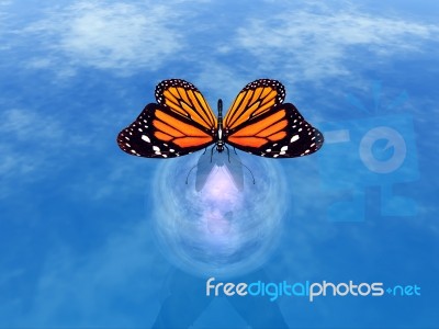 Butterfly Stock Image