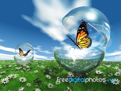 Butterfly In Bubble Stock Image