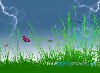Butterfly Storm Stock Image