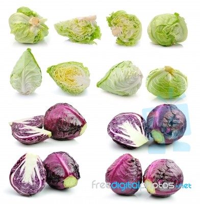 Cabbage Isolated On White Background Stock Photo