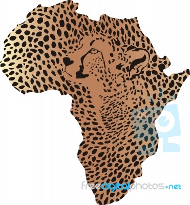 Camouflage Cheetah In Africa Stock Image