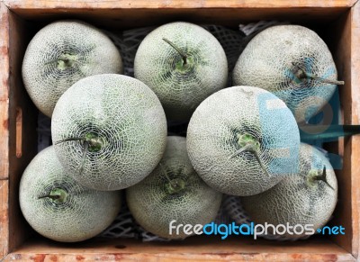 Cantaloupe Melons Stock Photo