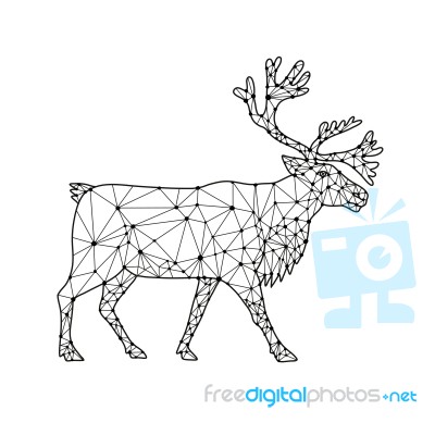 Caribou Side Nodes Black And White Stock Image