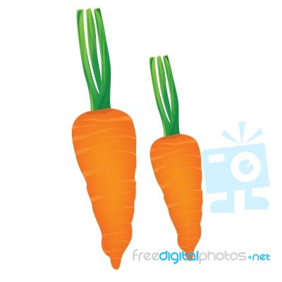 Carrot Stock Image