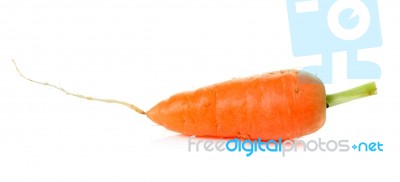 Carrot Isolated On White Background Stock Photo