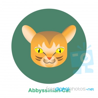 Cartoon Abbyssinian Cat In Circle  Illustration Stock Image