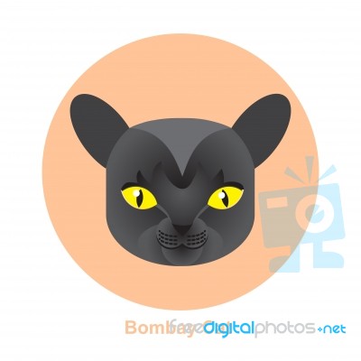 Cartoon Bombay Cat In Circle  Illustration Stock Image