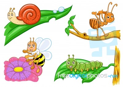 Cartoon Insect Stock Image