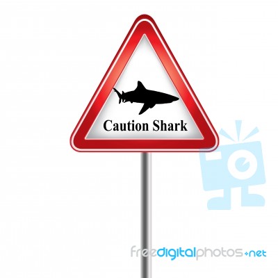 Caution The Shark Stock Image