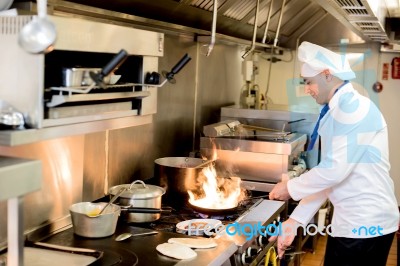 chef preparing cuisine in