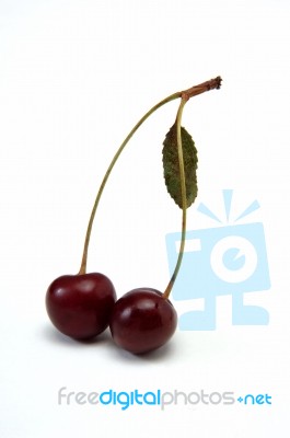 Cherry Stock Photo