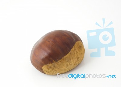 Chestnut  Stock Photo